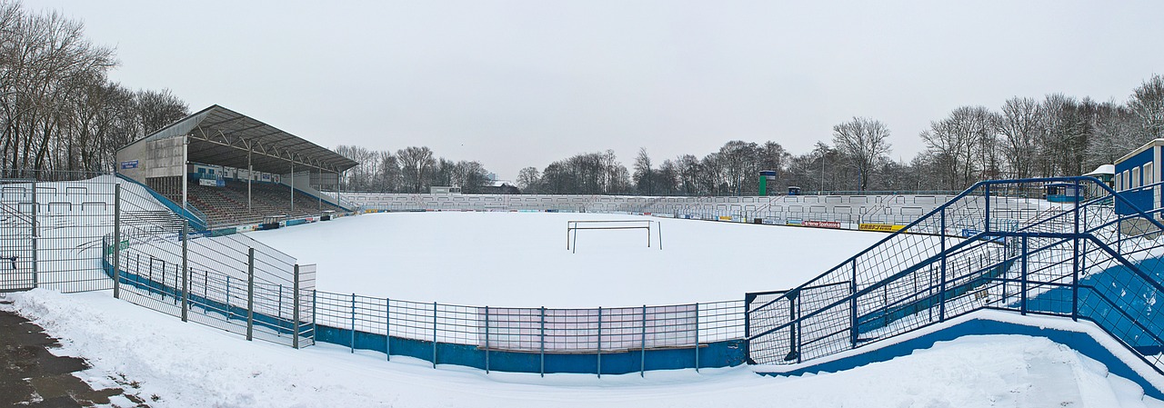 雪运动实力