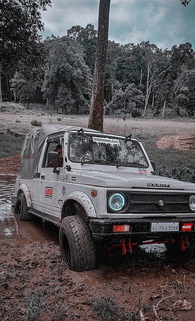 越的技术 越的技术