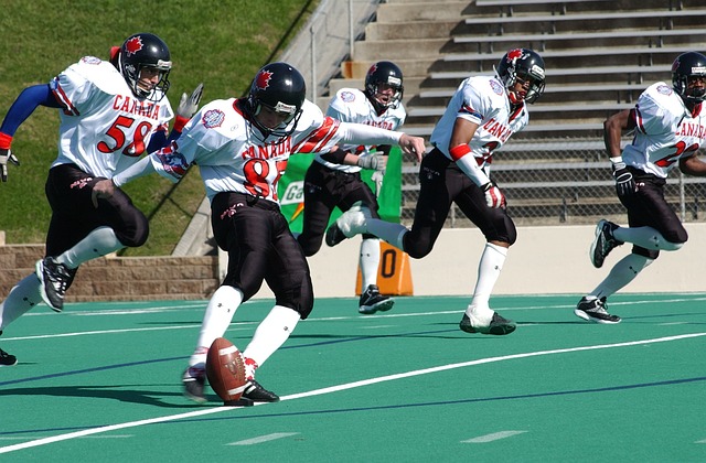 引入无疑将 引入无疑将