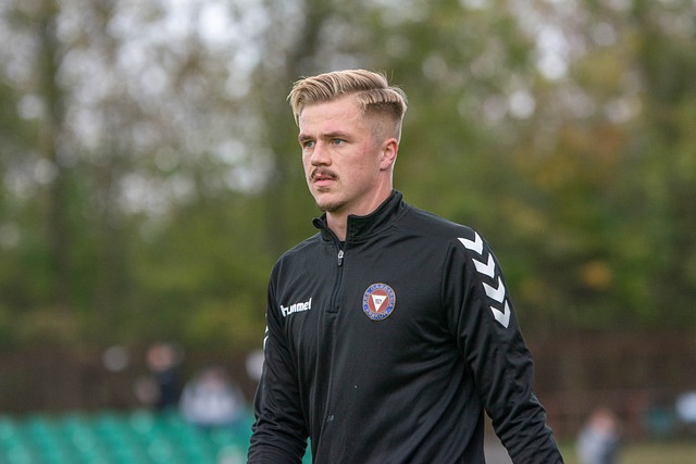 这次将见证 这次将见证