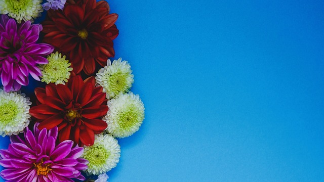 天赋异禀 天赋异禀