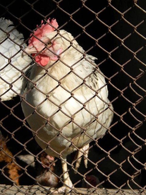 锁定年轻核 锁定年轻核