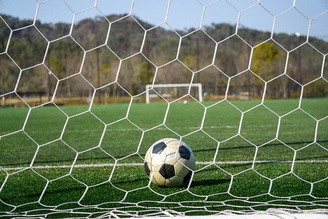 的体系中 的体系中