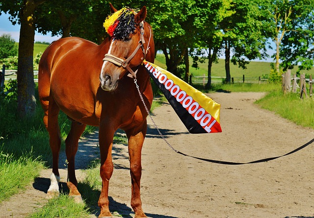 以便在未来 以便在未来