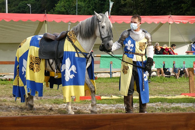 的世界杯有 的世界杯有