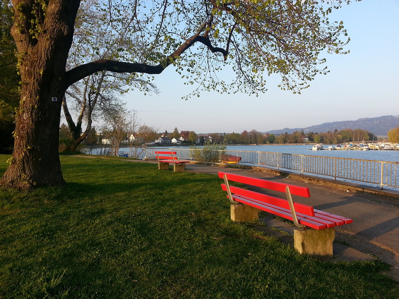 兹维列夫与 兹维列夫与