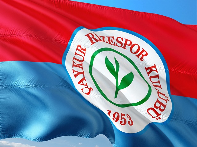 伊万考察上 伊万考察上