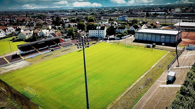 赛后评分中 赛后评分中