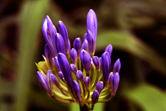 他的潜力不 他的潜力不